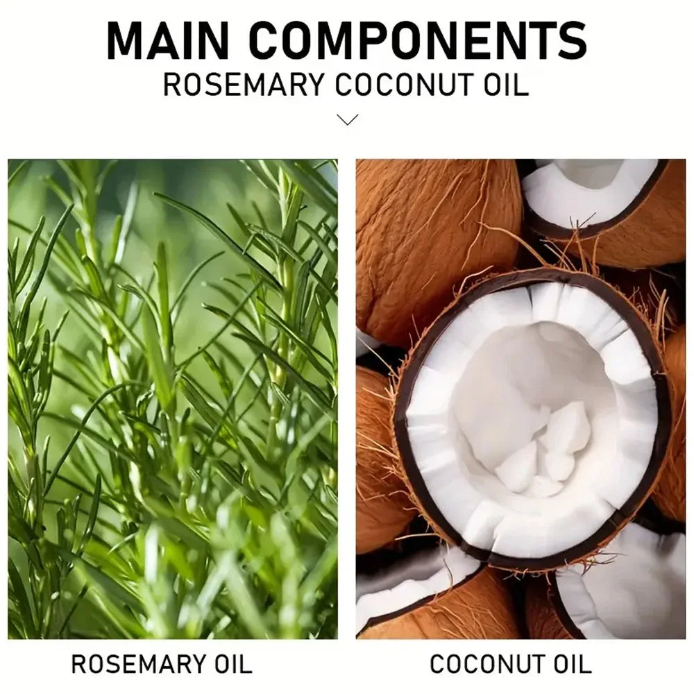 Rosemary Hair Oil – Hair Loss Repair & Root Strengthening