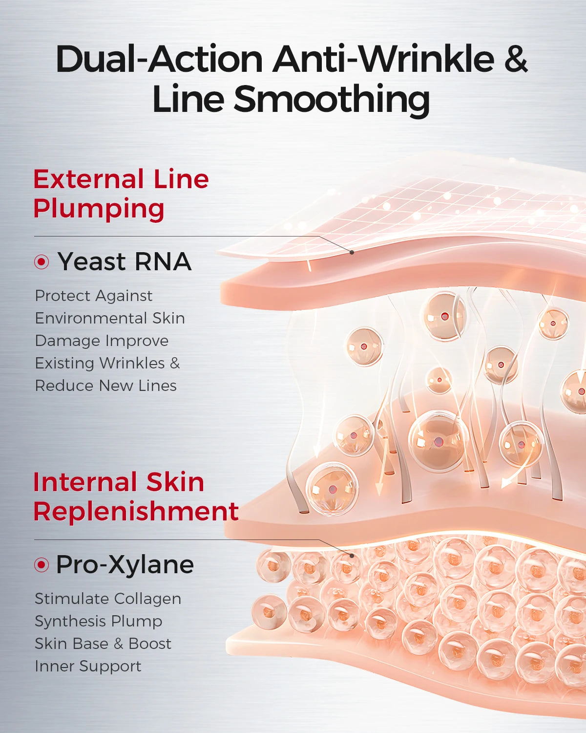 Firming & Brightening Face Cream – Anti-Aging with Yeast RNA, β-Eudesmol, Carnosine, VCIP, Red Myrrh Alcohol & VAGESTOP™ UV