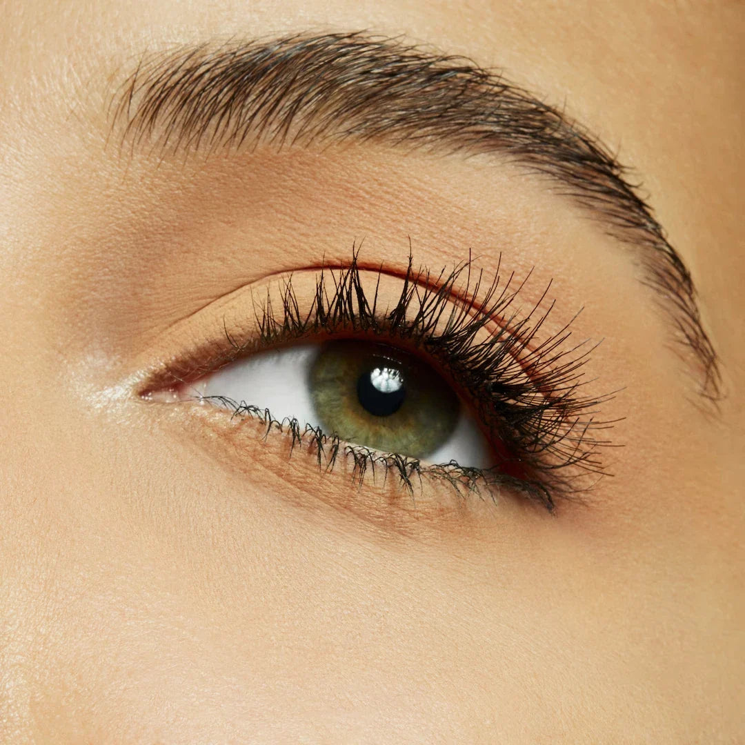Eyeshadow Compact-2